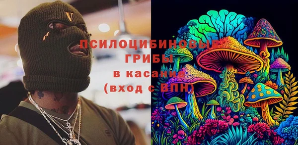 ПСИЛОЦИБИНОВЫЕ ГРИБЫ Алексин
