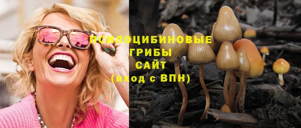 ПСИЛОЦИБИНОВЫЕ ГРИБЫ Алексин