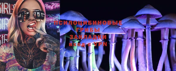 мяу мяу мука Алзамай